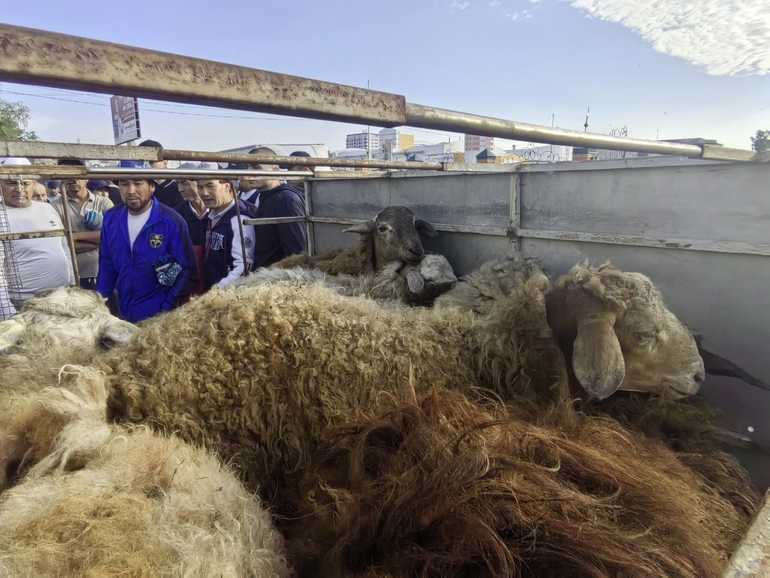 Курбан байрам Курган